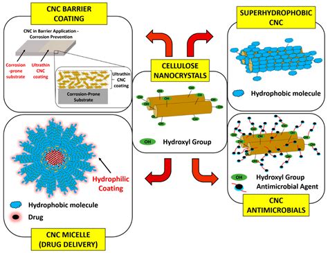  Nanocellulose: Um Material Multifacetado para Aplicações Avançadas de Engenharia e Medicina!