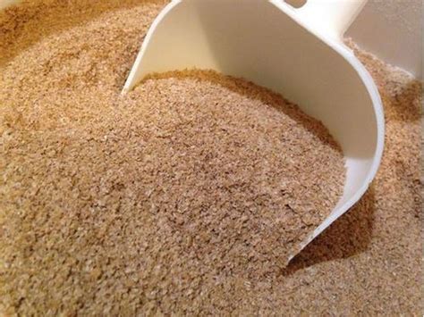 Wheat Bran: Desvendando as Aplicações Inovadoras desta Subproduto Agrícola Versátil!